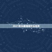 2021年56属相是什么生肖，2021年是什么属相？