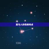 属马的都哪一年出生的(马年生肖解读)