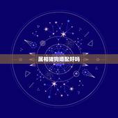 属相猪狗婚配好吗，属狗和什么属相最配 属狗的属相婚配表大全
