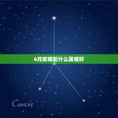 6月蛇婚配什么属相好，蛇和什么生肖最配？属蛇的属相婚配表大全