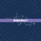 属相猴鸡婚配合不，关于属相婚配属鸡与属猴好不好配