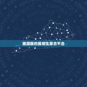 猪跟猴的属相生意合不合，猪同猴的属相真的不能在一起共夫妻吗？