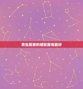 男生属猪的婚配属相最好，属相婚配表之属猪的和什么属相最配