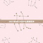 2021年8月14日什么属相犯冲，2021年运气最差的生肖年份