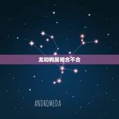 龙和狗属相合不合，属狗的和属龙的相配吗