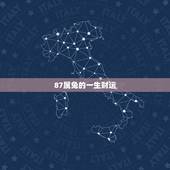 87属兔的一生财运