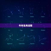 牛年生肖运程，牛年十二生肖运势2021运势详解