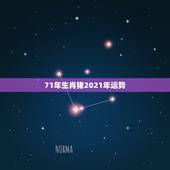 71年生肖猪2021年运势，1971年属猪2021年运势及运程