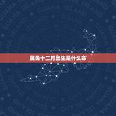 属兔十二月出生是什么命，农历十二月出生的女人命好吗