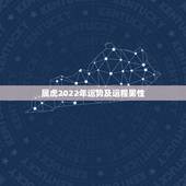属虎2022年运势及运程男性，属鼠人2022年运势运程