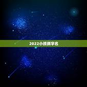 2022小孩俩字名，2022年宝宝取名字