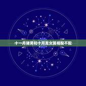 十一月猪男和十月龙女属相配不配，属龙女和属猪男姻缘如何，能结婚吗？