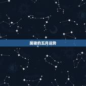 属猪的五月运势，属猪57岁五月二十三的运气不好