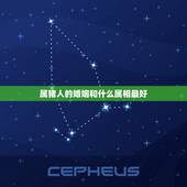 属猪人的婚姻和什么属相最好，最佳婚配属相