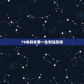79年的羊男一生财运怎样，1979年生属羊一生运程