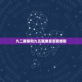 九二属猴和九五属猪是否能婚配，92年属猴男的和95年属猪的女相克吗