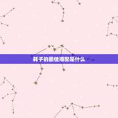 耗子的最佳婚配是什么，十二生肖当中老鼠和老鼠相不相配婚姻