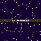 属鸡2022运势及运程，属鸡2021年运势