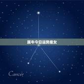 属牛今日运势座女，73年属牛47岁有一灾