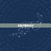 五脏六腑的五行，所谓人体三焦是什么？