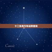 十二生肖今年运势查询，十二生肖2021年运势及运程每月运程