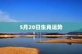 5月20日生肖运势，生肖兔求今年运势