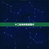 十二生肖的真实图片，十二生肖春宫图完整版