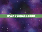 属马的男孩和属蛇的女孩结婚好吗，男属马 女属蛇，要什么属相孩子好