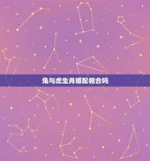 兔与虎生肖婚配相合吗，属虎和属兔相配吗