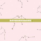 属狗的最佳婚配和最忌婚配，狗和什么生肖最配，属狗的最佳配偶，属狗人的性