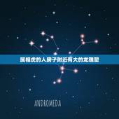 属相虎的人房子附近有大的龙雕塑，家居风水问题老虎塑像应该放在什么位置？