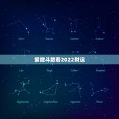 紫微斗数看2022财运，2022 紫微斗数看流年财运