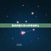 属虎的逢九年36岁命运好么，86年属虎女36岁以后命运