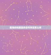 属兔的和属鼠的合作财运怎么样，属鸡和属鼠的婚姻