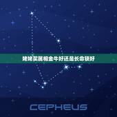 姥姥买属相金牛好还是长命锁好，长命锁换成属相好不好