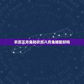 农历正月兔和农历八月兔婚配好吗，属兔的和什么属相在一起会大富大贵