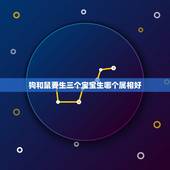 狗和鼠要生三个宝宝生哪个属相好，夫妻都属兔，生什么属相的孩子好