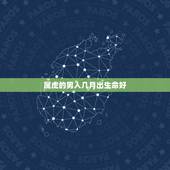 属虎的男人几月出生命好，属虎的女人几月出生最旺夫