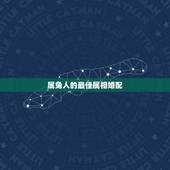 属兔人的最佳属相婚配，属相婚配：男属蛇和女属兔相配吗