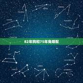 82年狗和75年兔婚配，1975年男属兔的和1982年女属狗在一起生活