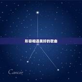 形容相遇美好的歌曲，表现相遇 相识 相知 相爱 相依 相扶 相守的歌曲