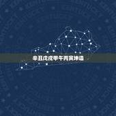 辛丑戊戌甲午丙寅坤造，壬戌乙巳乙卯乙酉坤造