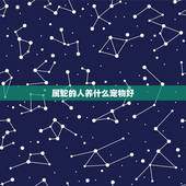 属蛇的人养什么宠物好，蛇的人比较喜欢养什么宠物