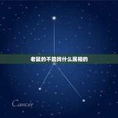 老鼠的不能找什么属相的，属鼠的不能找属什么的好