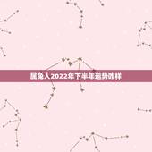 属兔人2022年下半年运势咋样，八字命盘免费测算
