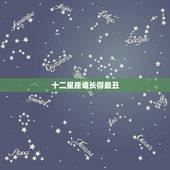 十二星座谁长得最丑，十二星座谁长大最漂亮