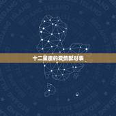 十二星座的爱情配对表 十二星座爱情配对测试