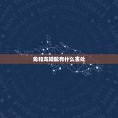 兔和龙婚配有什么害处，属兔和属龙的相配吗？