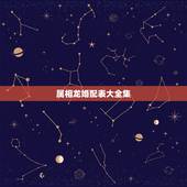 属相龙婚配表大全集，88年属龙女和什么属相最合适