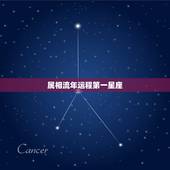 属相流年运程第一星座，星座的运势和生肖的运势是一样的吗
